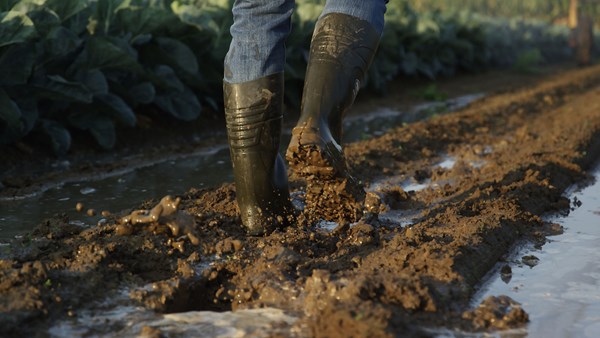 StepliteX_SolidGrip_green_agri_VID_55_lowres