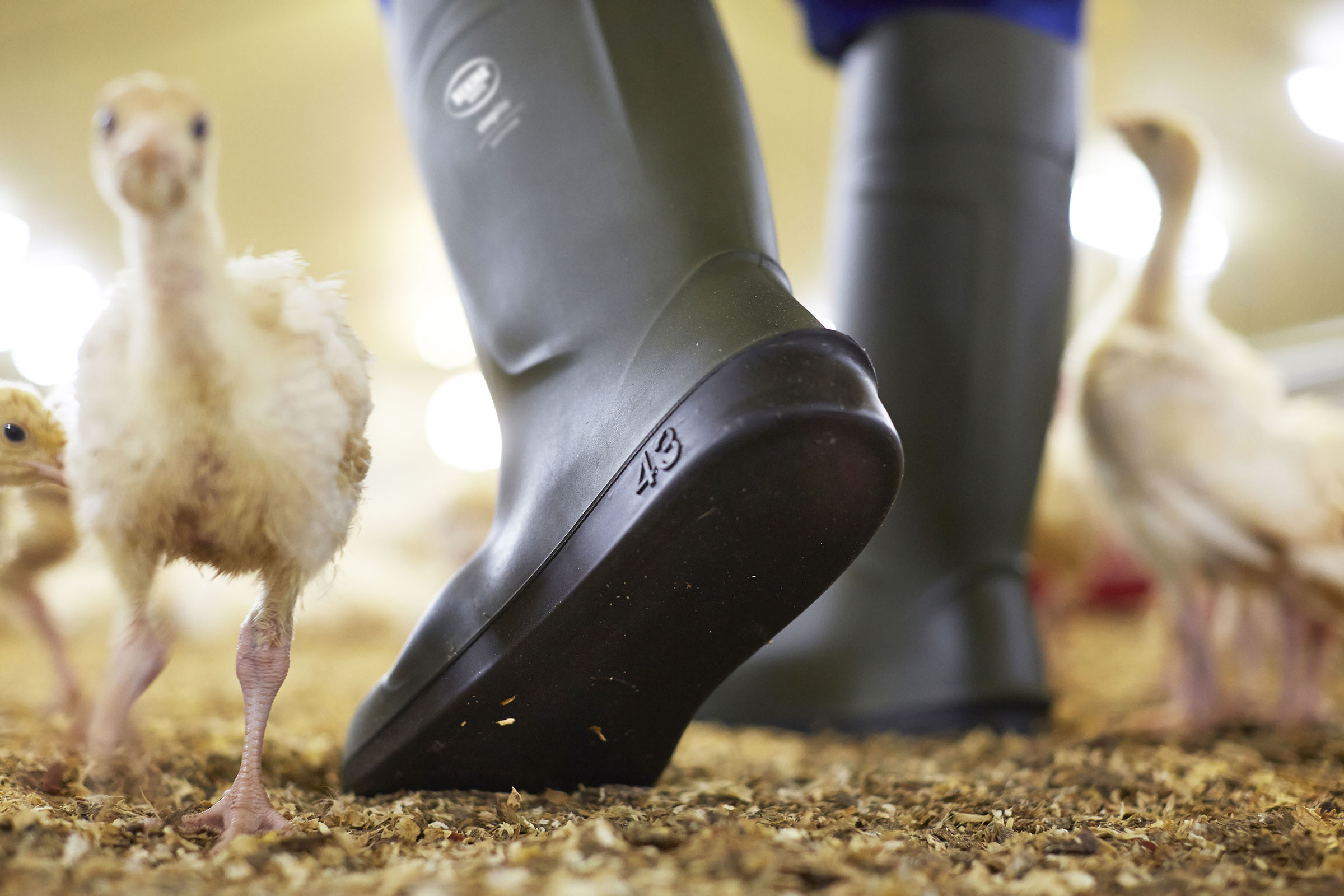 Steplite_EasyClean_green_agri_02_lowres