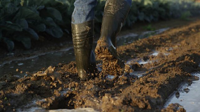 sector slider agriculture - StepliteX Solidgrip