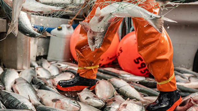 sector slider fishery - StepliteX Stormgrip