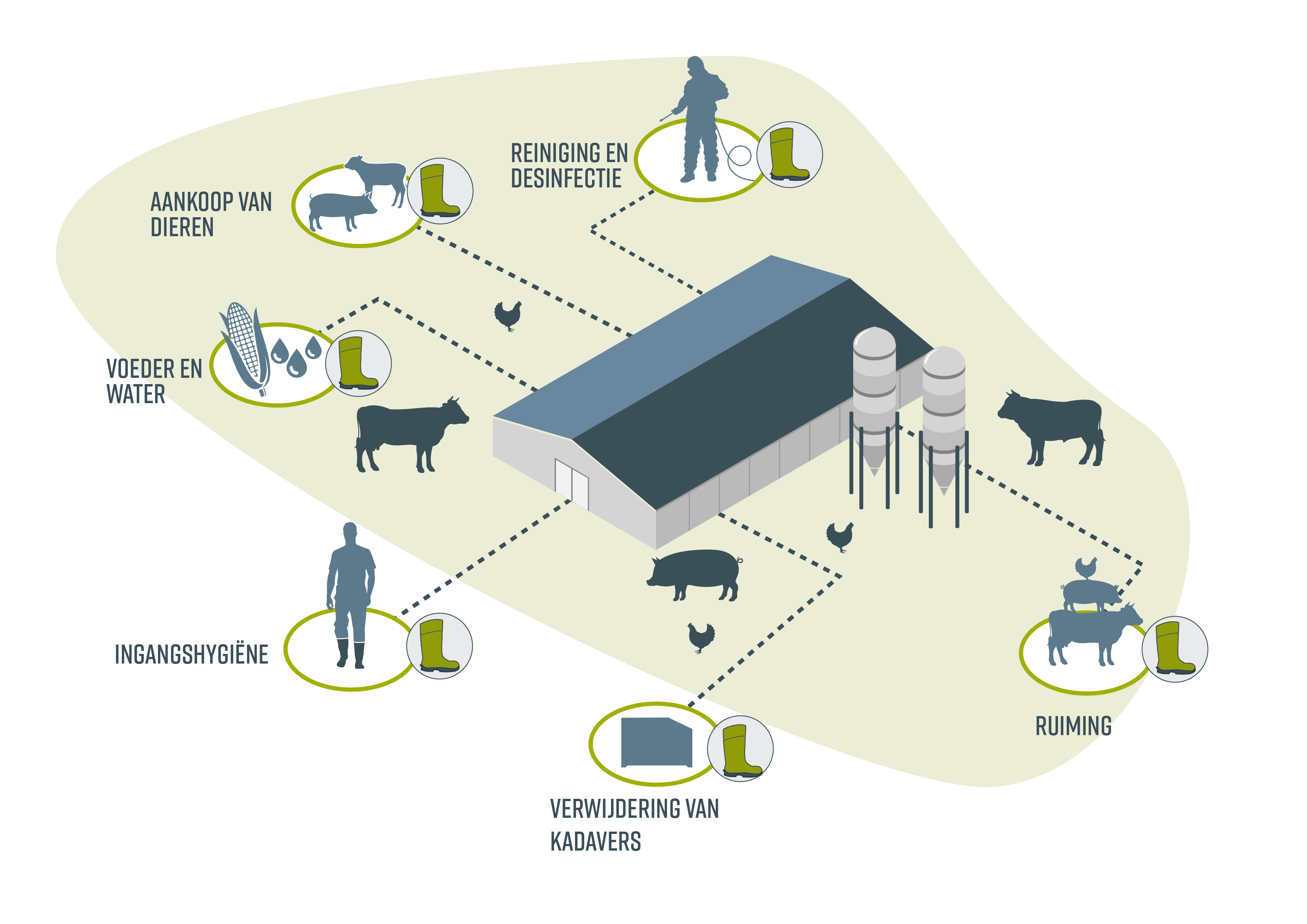 Bioveiligheid overview